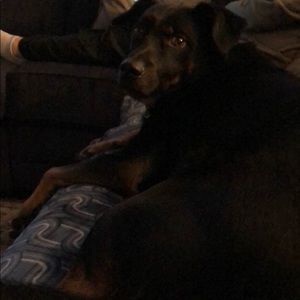 Meet your Posher, Jason